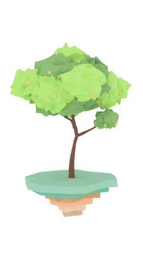 2018-05/avocadotreeandflower