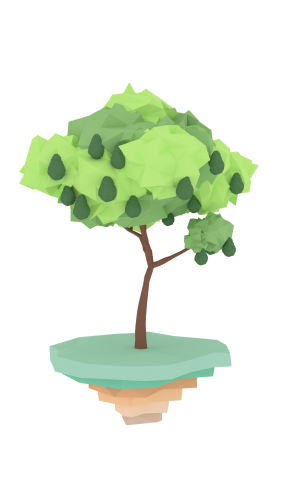 2018-05/avocadotreeandfruit4