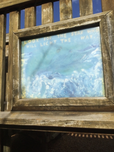 The sign in question.