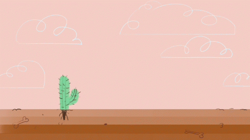 2018-08/cactus-bubble