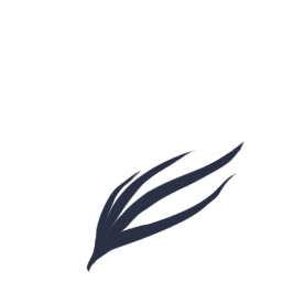 2018-09/1537760900_seeweed