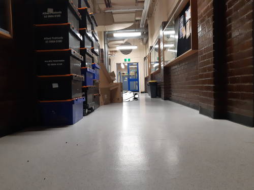2019-03/cps-week4-5