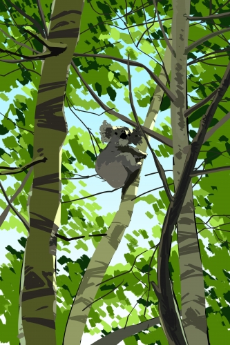 2019-04/1554255045_kangroo