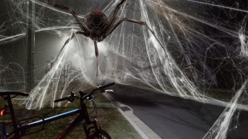 2019-04/1556438581_cpeider