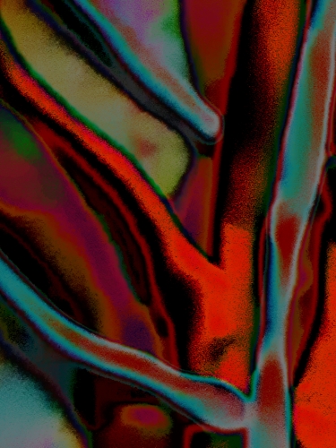 2019-04/disection1