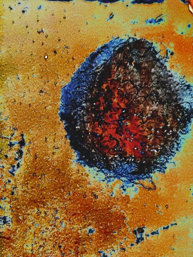 2019-04/microbes1