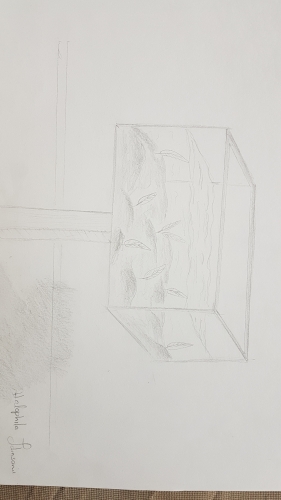 2019-04/plant-sketch