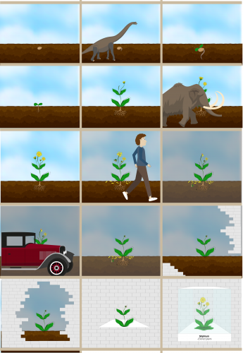2019-04/storyboard-sketch-1