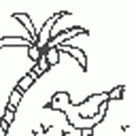 2019-05/1557297661_bird