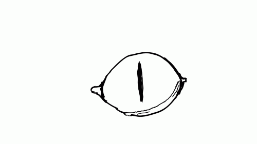 2019-08/2danimationclubweek5