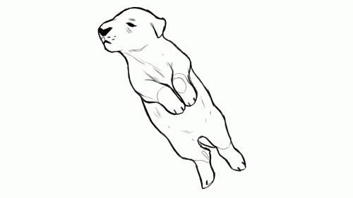 2019-08/pup-3