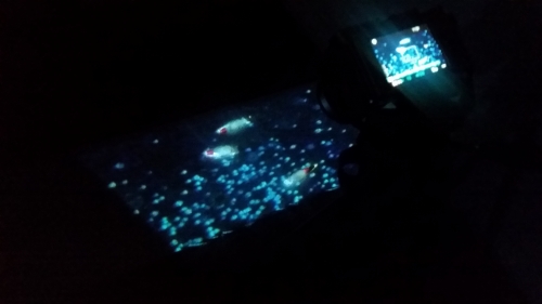 2019-09/20190918-185358