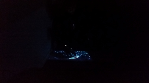 2019-09/20190918-190154