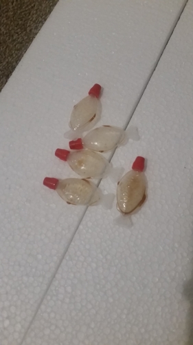 2019-09/20190918-212157