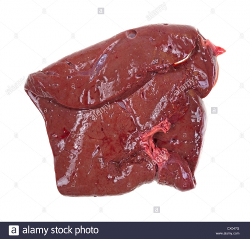 2019-09/liver