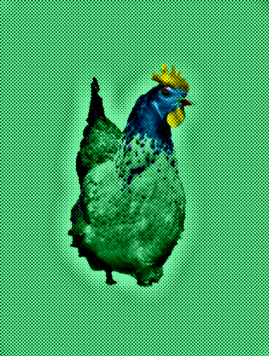 2019-10/chicken1-1