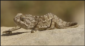 2019-10/screen-shot-2019-10-23-at-4.16.10-am