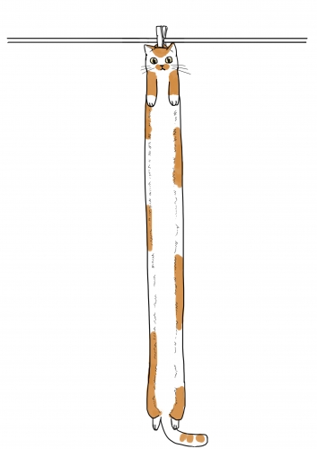 2020-03/cat