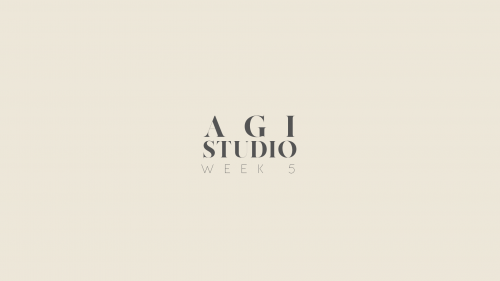 2020-04/1586336798_agi-week-5