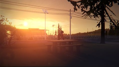 2020-05/1f9a279795f1f30c8101215f6cdf1034-life-is-strange-golden-hour