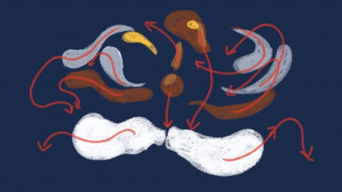 2020-05/direction