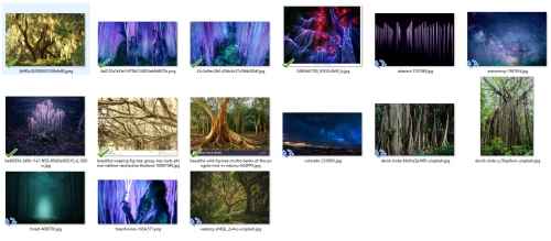 2020-05/reference-images-smaller