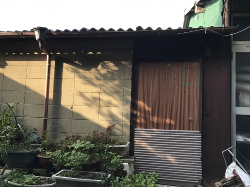 2020-06/img-6678