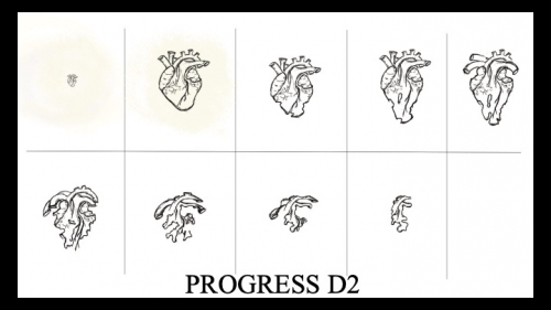 2020-07/slide07