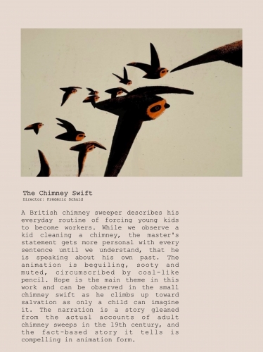 2020-08/1597542433_img-0257