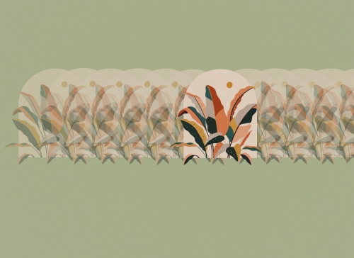 2020-10/1602149465_img-0795