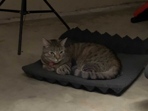 2021-03/1614823652_image-from-ios