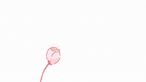 2021-03/flower