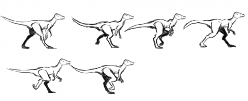 2021-03/raptorframes