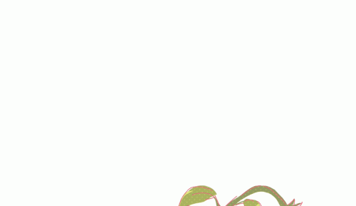 2021-03/sunflouwu