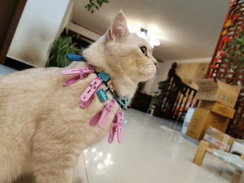 2021-04/img-20210324-195326