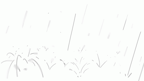 2021-05/cpsweek8-
