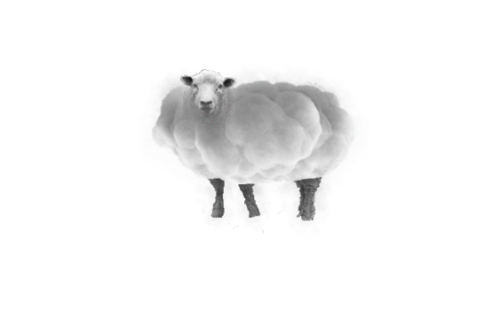2021-06/1623128974_sheep-cloud