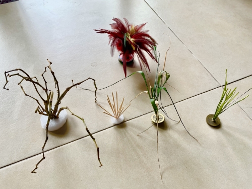 2021-08/img-4460