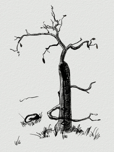 2021-10/sketch