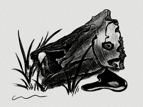 2021-10/sketch2