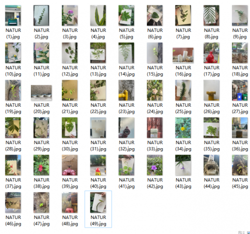2021-10/snipaste-2021-10-05-14-56-36