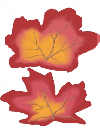 2022-05/uv-mapleleaf