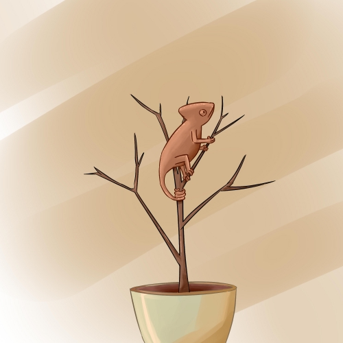 2022-06/chameleon-02