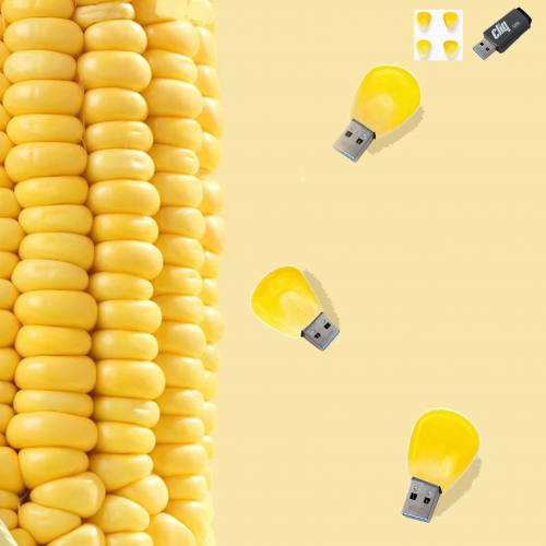 2022-08/-usb