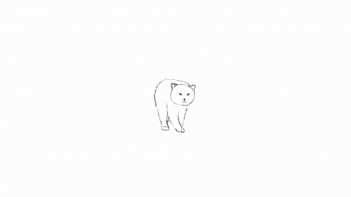 2022-10/1665301029_story-3-draft-cat-walk-iteration-2