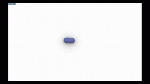 2022-10/week-3-1