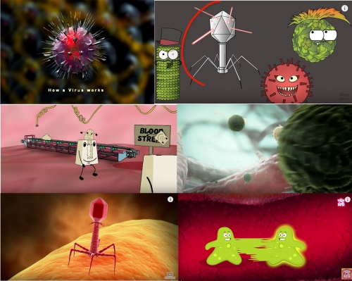 2019-03/moodboardsdudio