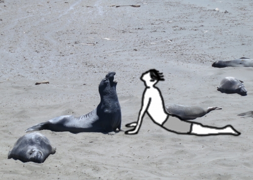 2019-06/cps-wk-7-seal-and-yoga-man