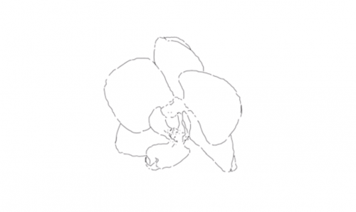 2020-07/screenshot-2020-07-06-at-11.14.48-pm