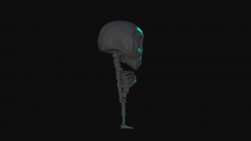 2021-06/bones4-4